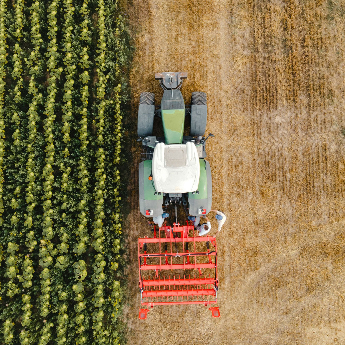 Hola-Tractor_Credit_Teo-Sticea-Lowres-square Hola-Tractor_Credit_Teo-Sticea-Lowres-square