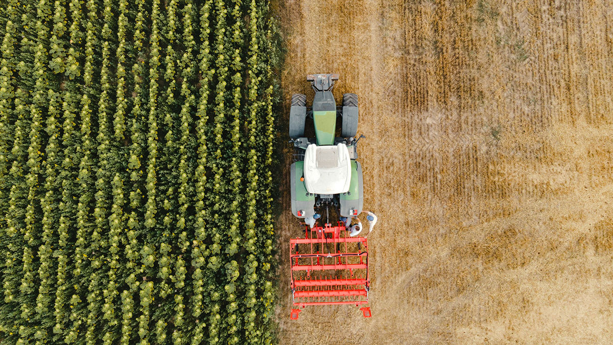 Hola Tractor